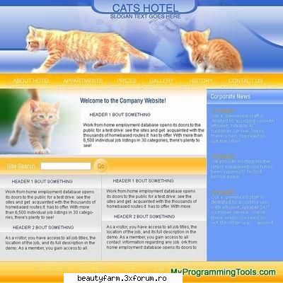 cats hotel template cats hotel template